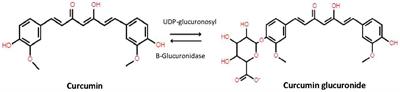 Non-therapeutic plasma levels in individuals utilizing curcumin supplements in daily life